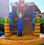 Wasserrutsche Hawaii